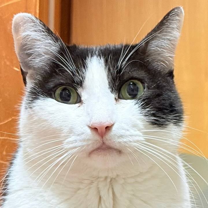 738b6e6a 400f 4afa 8348 05f9bbf557d0 1771293461037