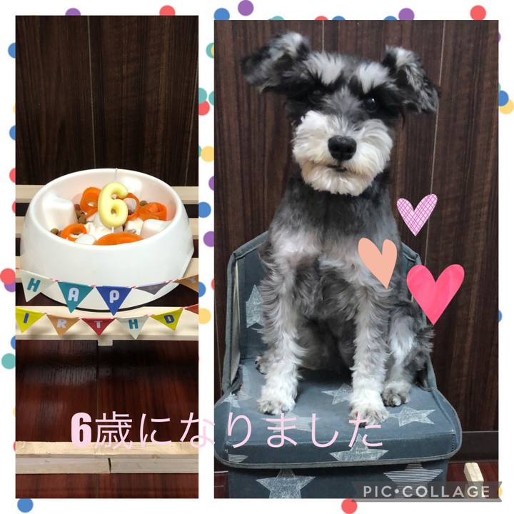 738bddac e9a6 4963 b3f1 9d18d312b27e 1652870931214