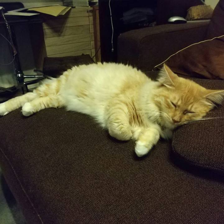 738c5eb6 cb7a 409b a7a5 0e0de3807eaf 1630840395718