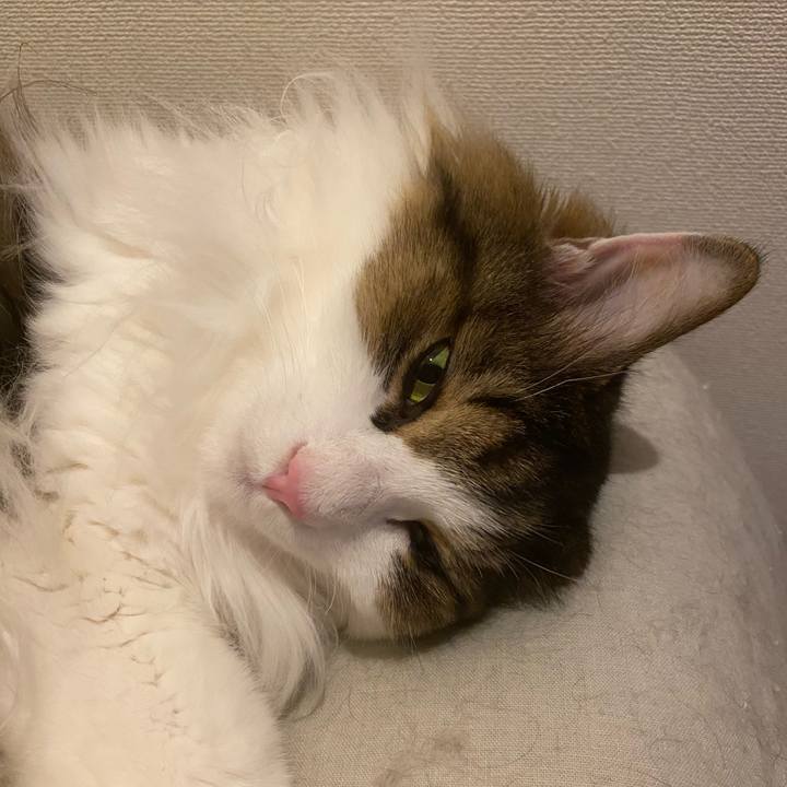 738c6fd5 cc60 4052 8555 9c651238372f 1692349404555