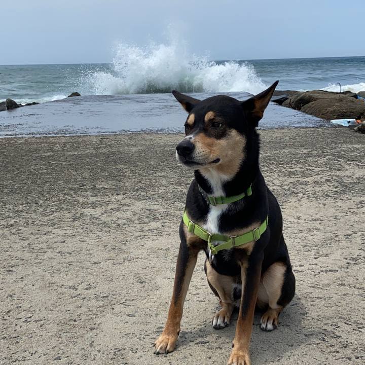 738c9da8 64ee 4311 b076 205db494d2e3 1620136648369