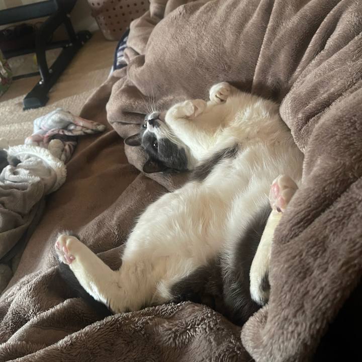 738cff92 83b0 4224 8a31 15e7269cf749 1709084956830