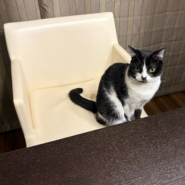 738d08eb cec8 4a2a ac7f aef0461309db 1768480350368