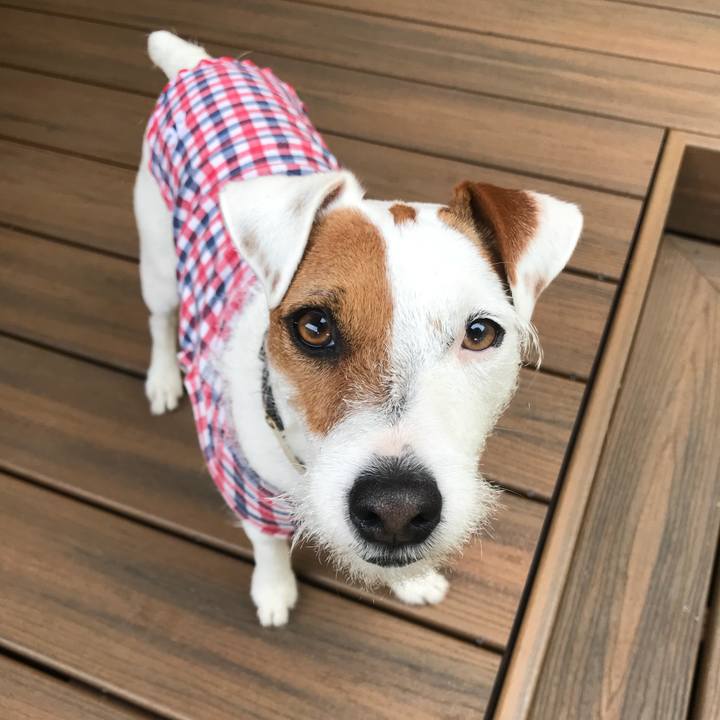 738d3d68 ece0 4089 83ec 4a015ba5e676 1515440911080