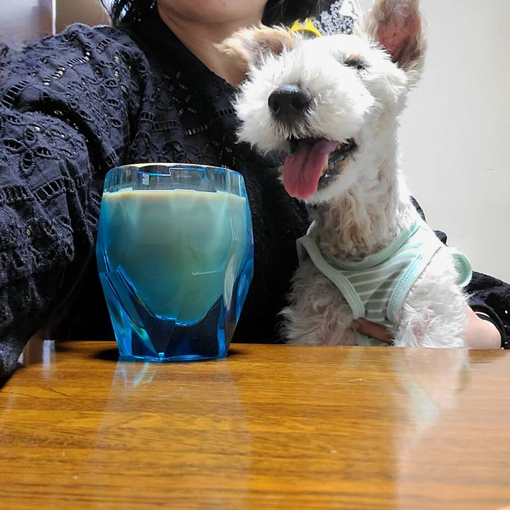 738d561a 1c42 4ff6 8e17 963de8a88759 1695826199974