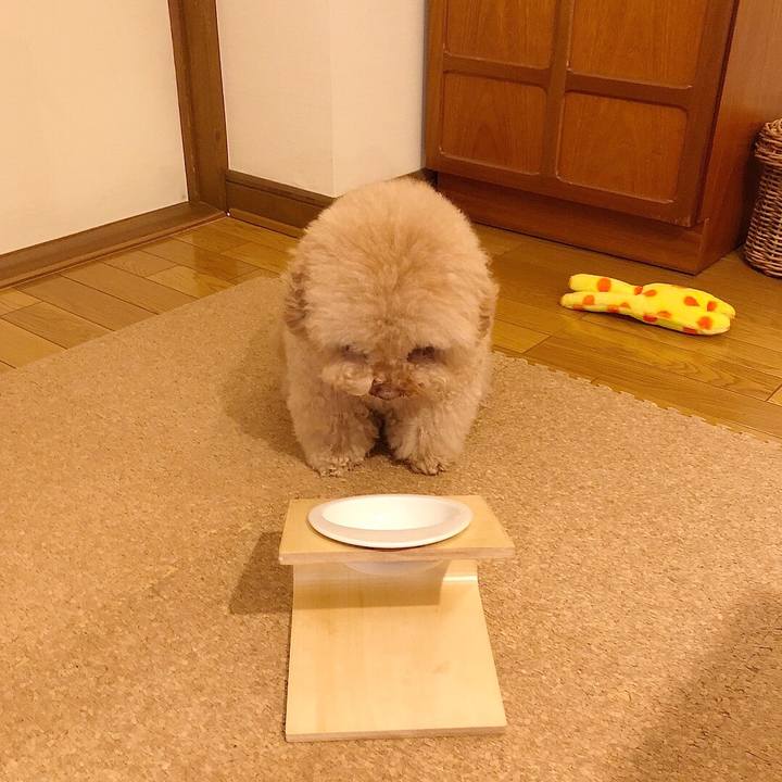 738d88f1 1713 4606 8573 2b4062f95349 1512379105918