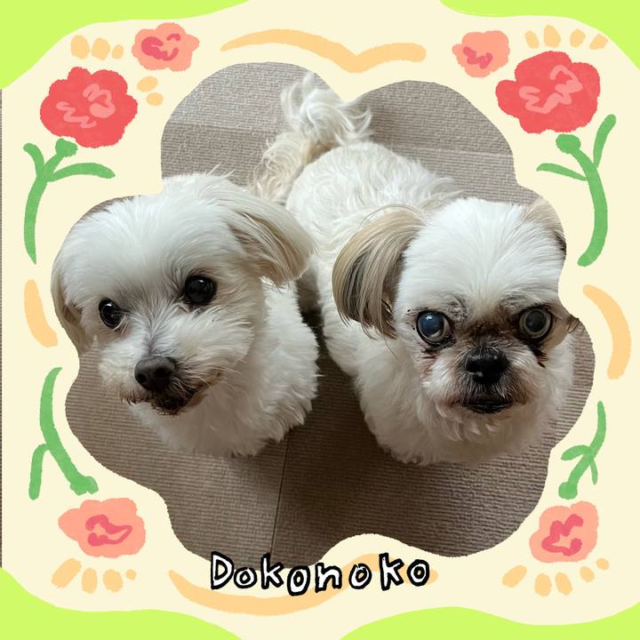 738db9e6 d3b1 448f 91c2 2c8c2091badd 1715325377217