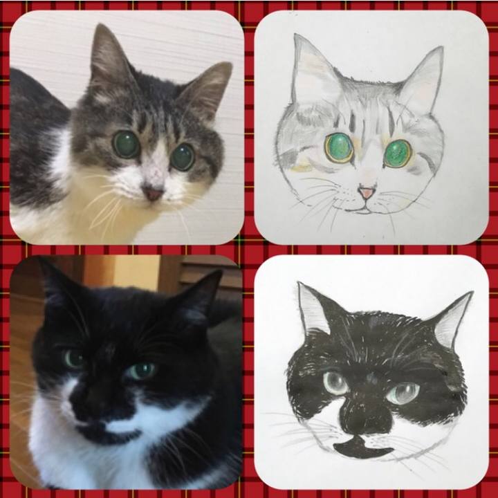 738e0985 e10f 48b0 9183 0fb37c135029 1508579363556