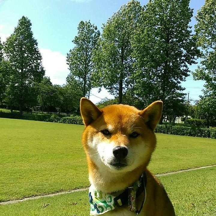 738e1759 bbbd 4fe1 b52d 361d0b0735e3 1560212918712