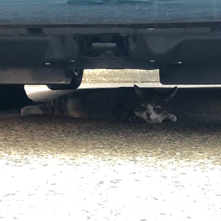 738e1e59 fafe 498f b5ff 59d8bd107ad5 1533242414144