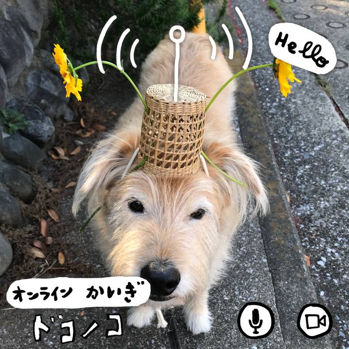 738e5236 c1d1 4e0a b35e 2c9a42b4114c 1590710099396