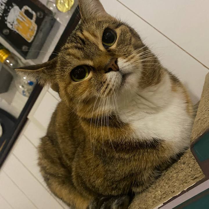 738e83c5 5bd5 44fb 8678 1ae4755cb4ef 1666127635528