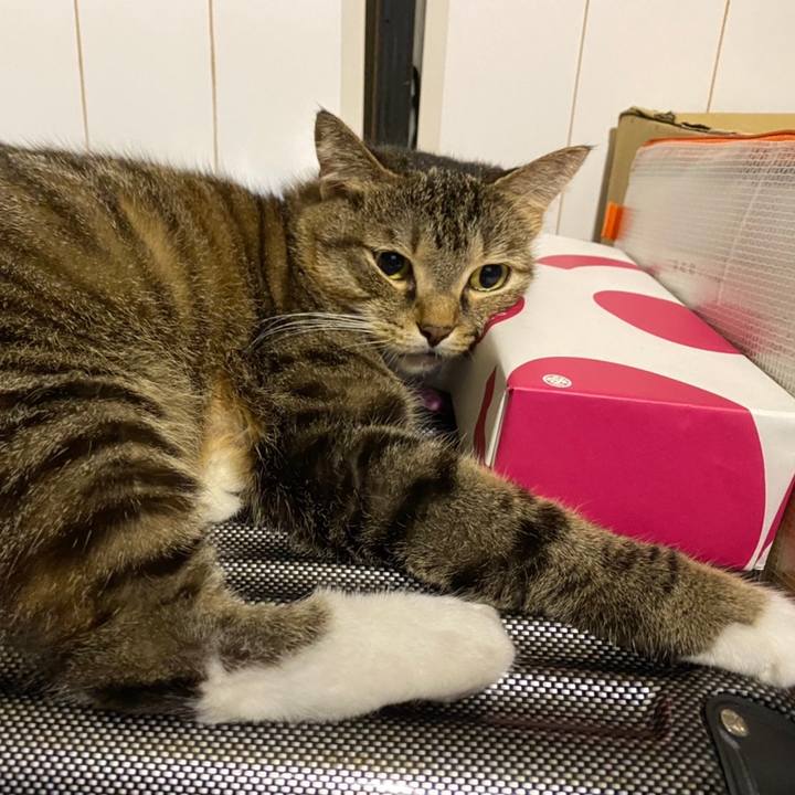 738e925c 1887 449e a249 c8a3d9b8aea8 1600299521380