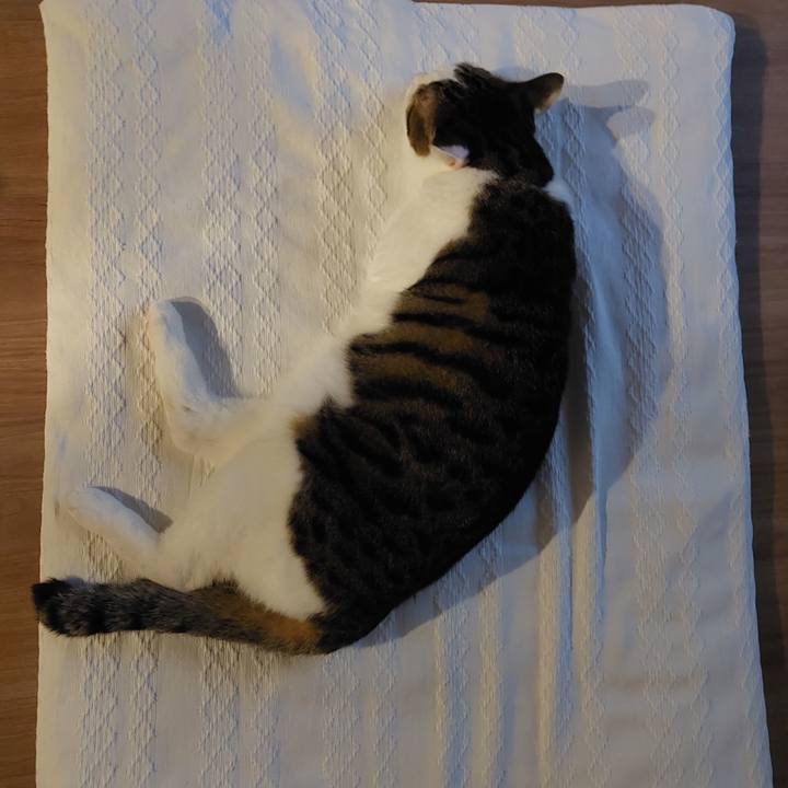 738e9c72 4889 45cf bece 58e05f040ea7 1633378692075