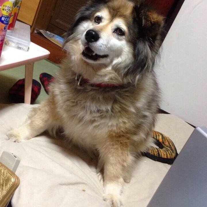 738eaa33 d91e 4cb2 a360 a695127a0283 1550728396066