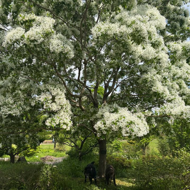 738eb58e 1fdb 44ce 9081 d026054671ab 1777203273716