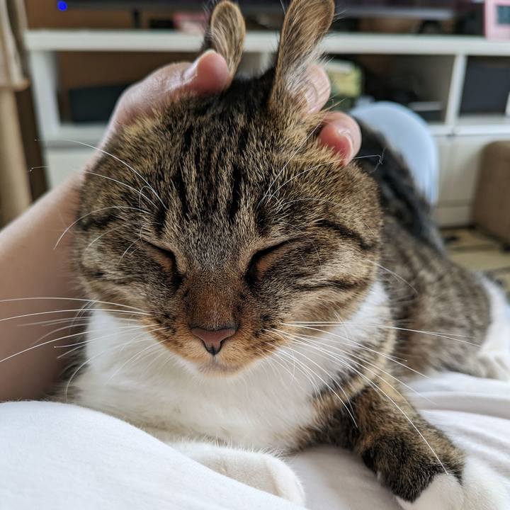 738ecbf6 afd1 4b54 9c33 df43b0b6093c 1691455171980