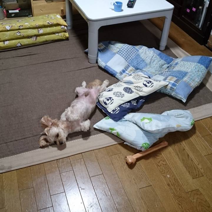 738f136c 2946 4755 a689 8b6e04ba01cd 1601771366161