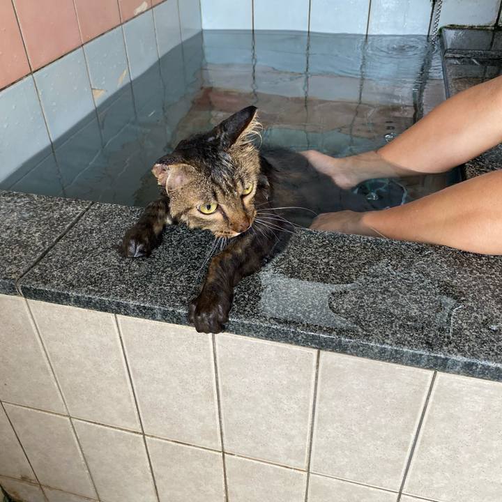 738f15e6 b871 4858 862d e37449684d38 1695443657983