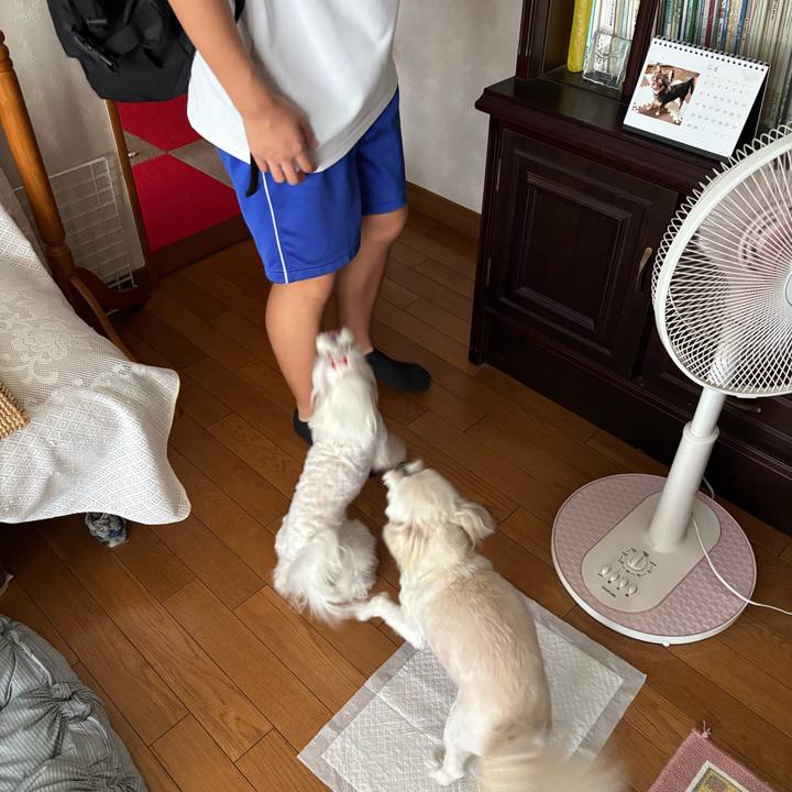 738f2e5f 98e5 413e b6b1 83d17f3d7dab 1752143119932