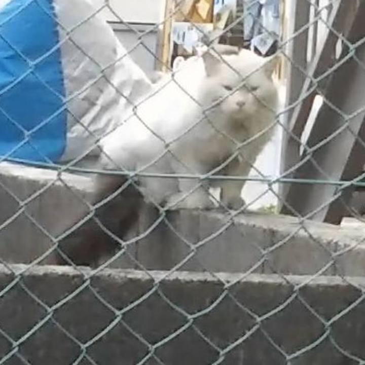 738f6bc8 2b02 4bd4 a307 467c606e63e3 1590309999614