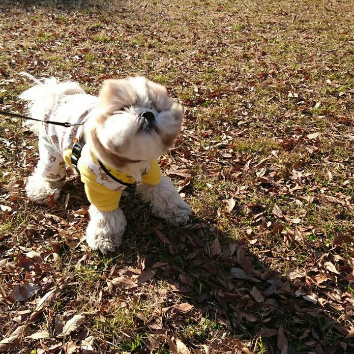 738f8b9d 4e8e 44a5 a75d 214b5b7535cb 1547366544541