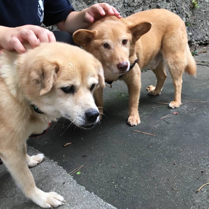 738fa2fe e621 433f a284 5a355f9ddbe7 1535963031173