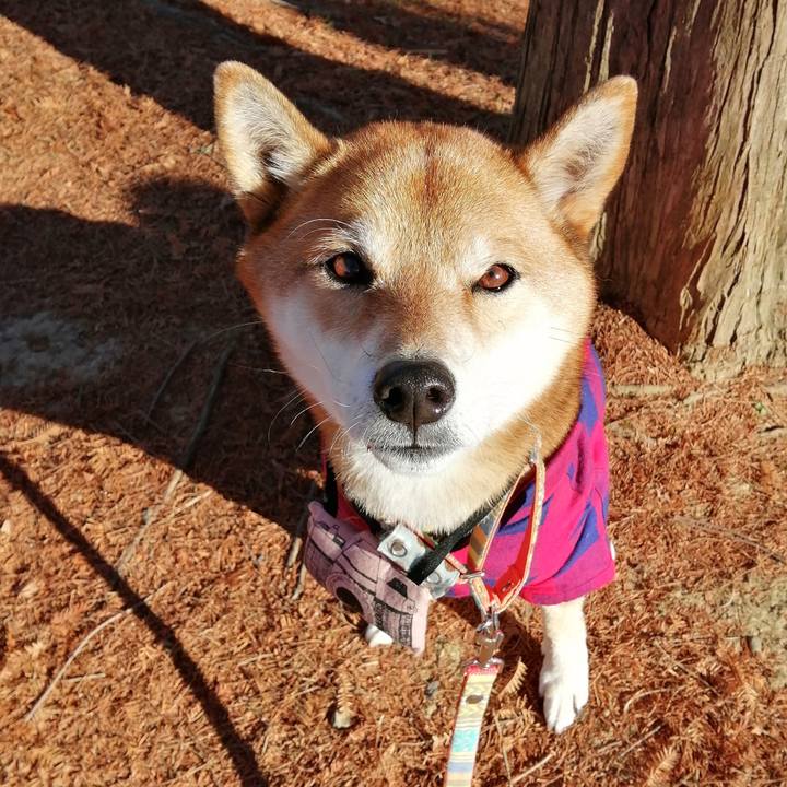 738fa9e7 0175 49f4 b809 6bc9576fd05f 1608078651354