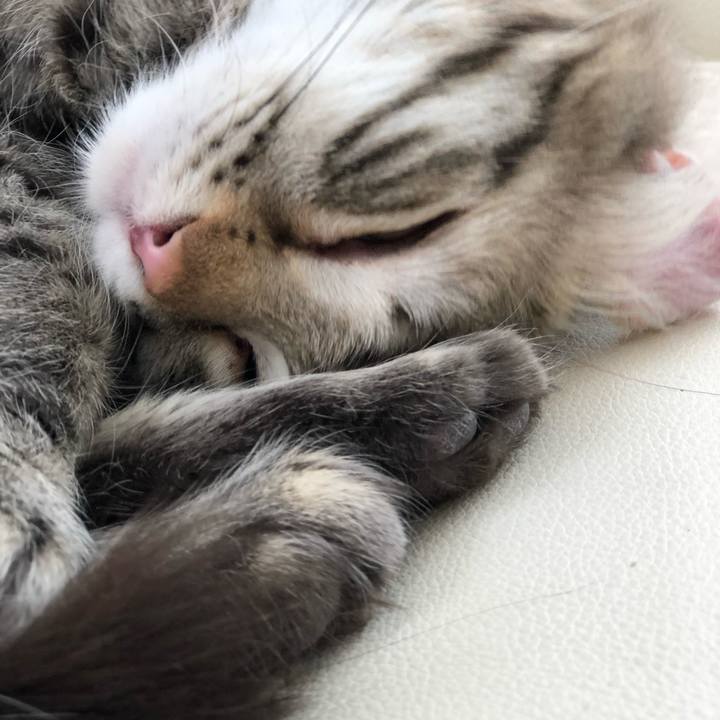 738fda78 ec47 4084 8ee8 cc115abef295 1524633667095