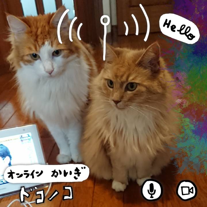 738fe1c1 67e0 410b 9630 3f4b1ddc55eb 1590697120053