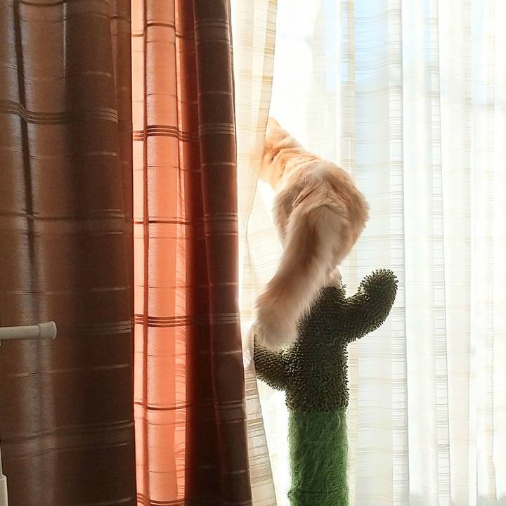 73900fff e4e6 4ba2 b434 840f97aba559 1611896147226