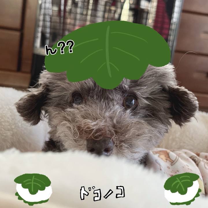 7390364a e114 4d9d b96f 12676395133f 1749127349979