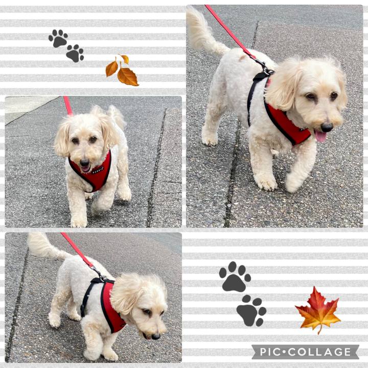 7390d443 cfdd 44a0 8a41 683561ccf7d3 1760869530258