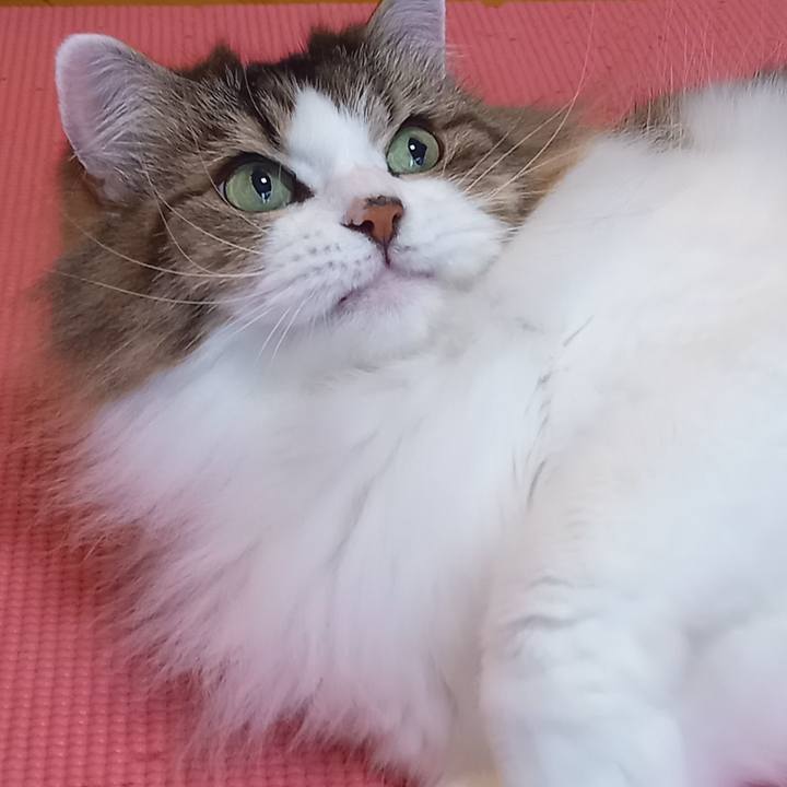 7390f62e f578 4b5e bc84 937606fa0ca5 1662682851765