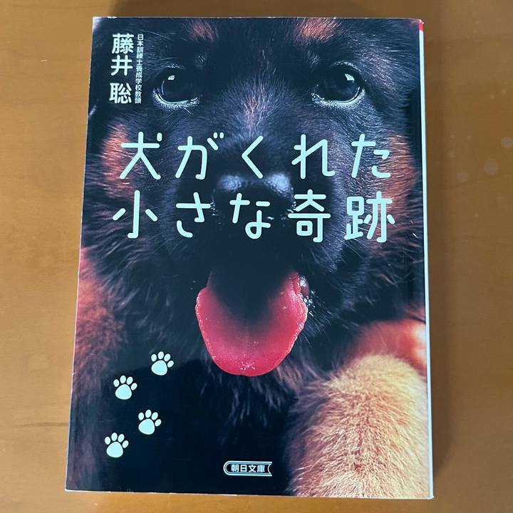 7390ff6f f966 4487 a680 1555fedde628 1661380799755