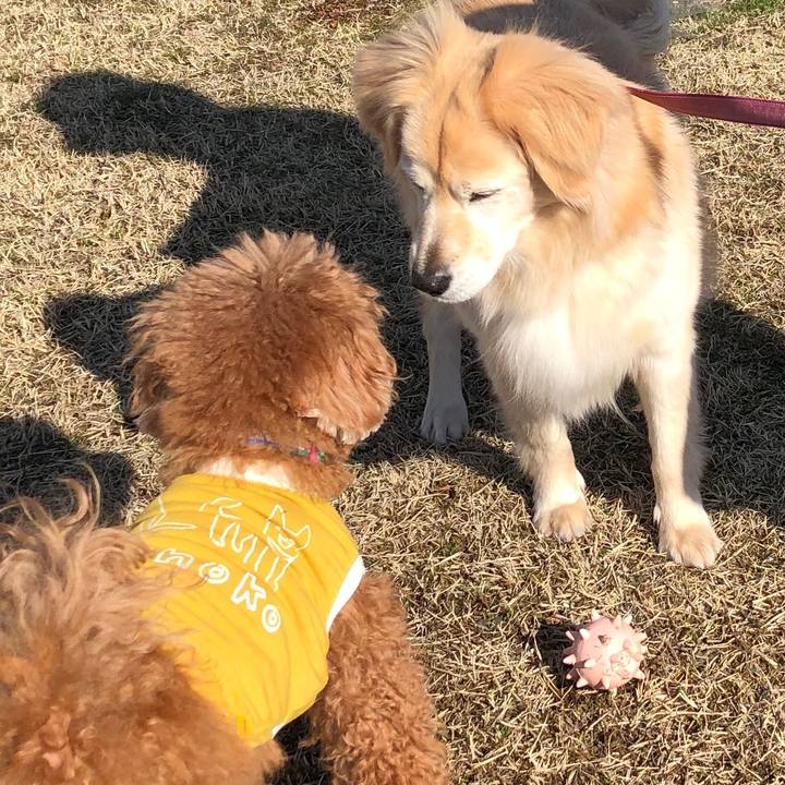 7391616a 5011 4358 ae9d 07d52097db71 1552146391334