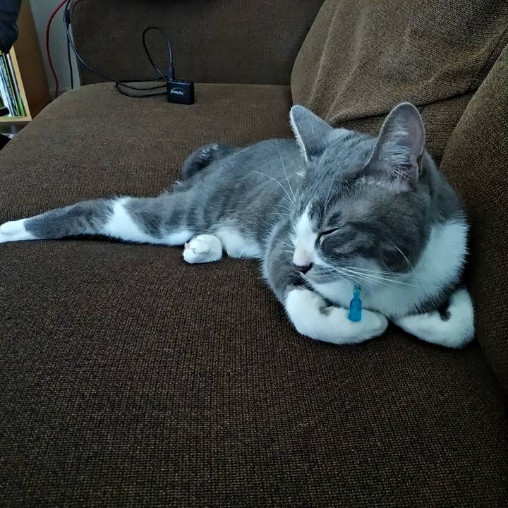 73917f4a 0716 41fc a49f 675d4806bd63 1593160473055