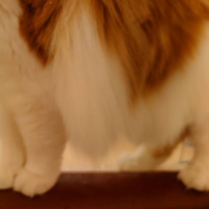 73918641 f6d5 4917 89fc 771260911295 1638362923512