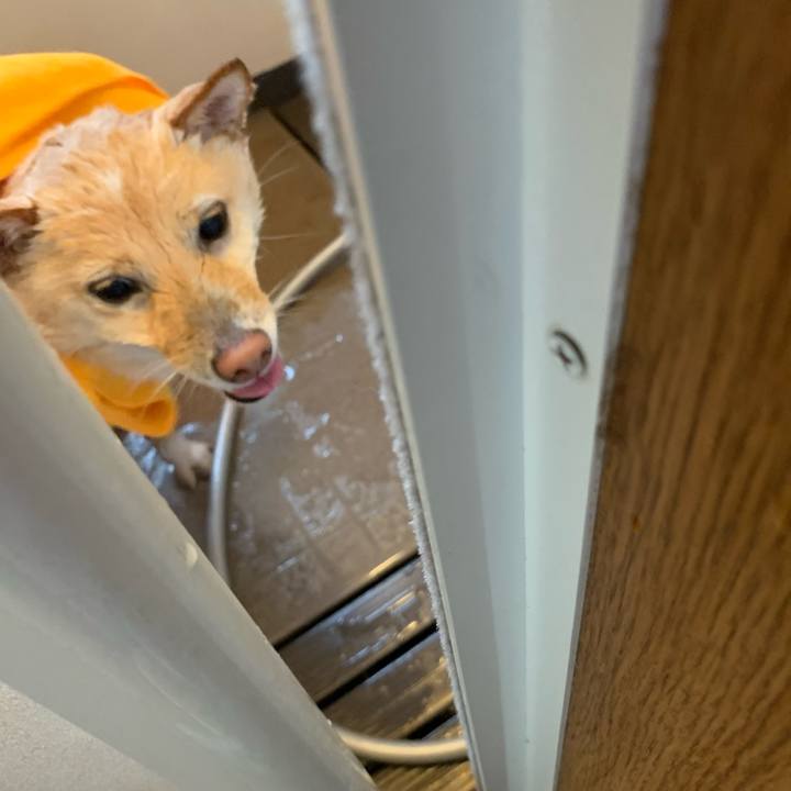 7391b8bf 9559 4fa8 8c7b 7a295c5b4a6c 1637978858468