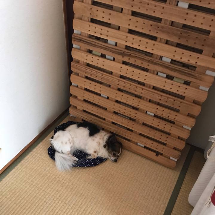 7391cf96 70a0 43a0 b928 cbfe87166752 1559269008744