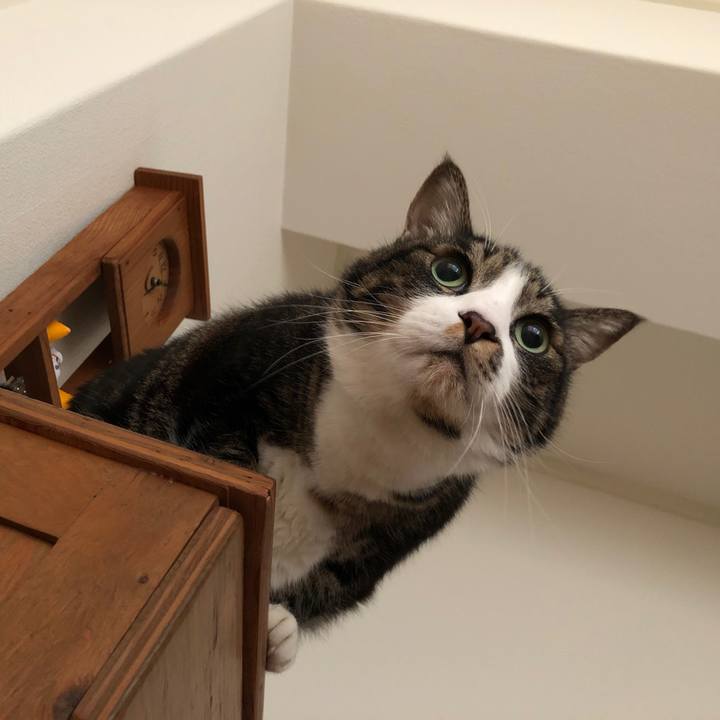 7391f70e 2b51 4e58 8ace 17fce51b3621 1580013278292