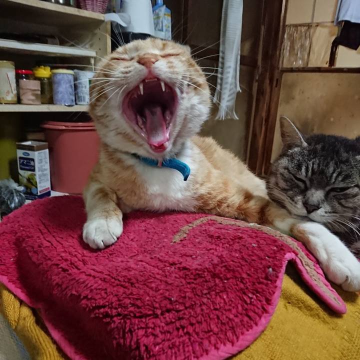 73920eb9 f479 41a4 adf1 a097dafa16cc 1556449961080