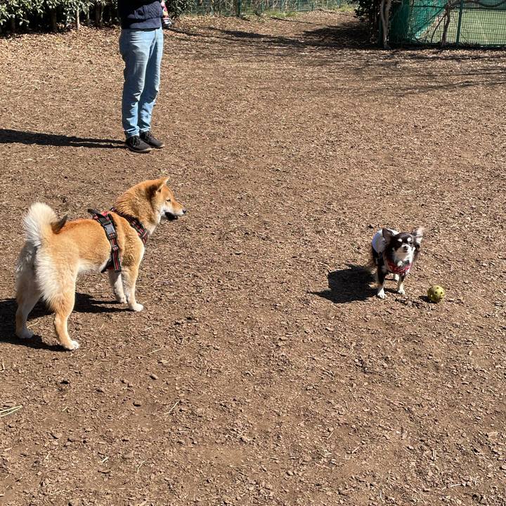 7392627c b5dd 47f5 8c5a 506c3b88f9bf 1615699246762