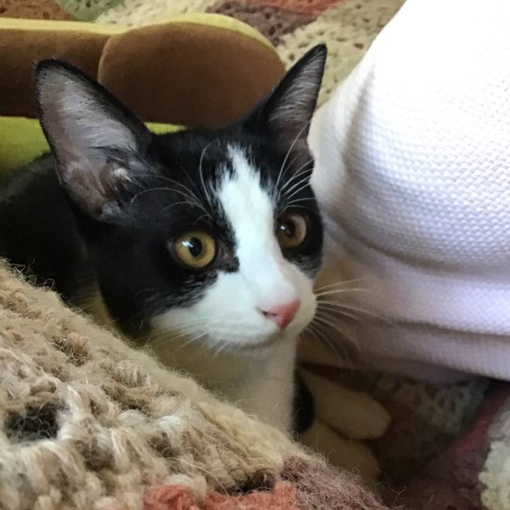 7392afe3 b374 428b 9706 f9ab2dc0ee9f 1632214498318