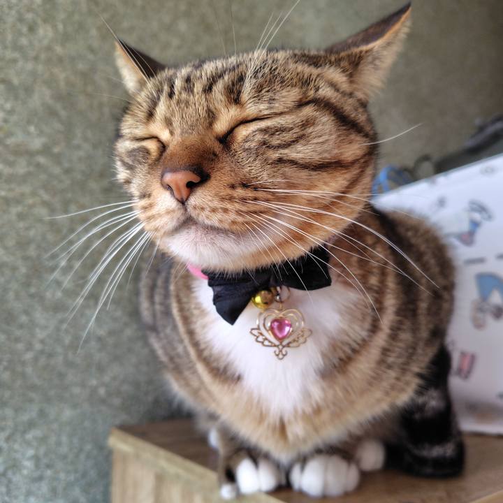 7392b974 2d12 4497 8bc7 00e1a8540bc3 1763862512147