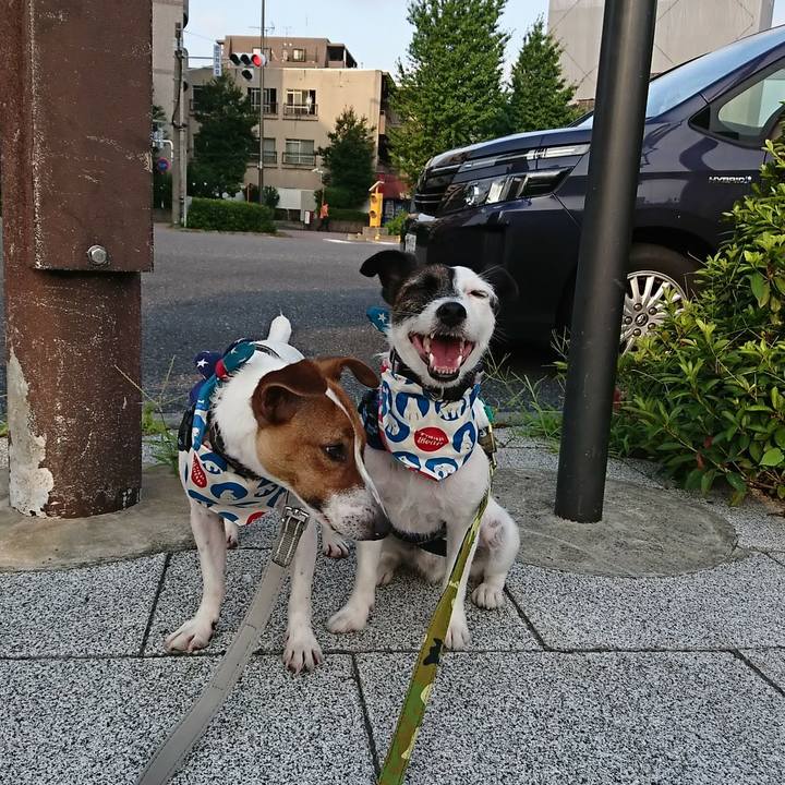 7392c7c3 8e5a 4f5e bc22 caeae66e5c5a 1531948751092