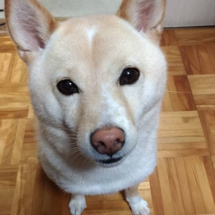 7392c91a 996a 480e a670 bd78eb5acc98 1561930413774