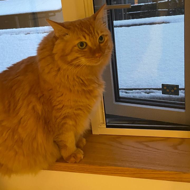 7392f754 8b2f 4729 bcf1 3a4bb1f55c0d 1766736484210