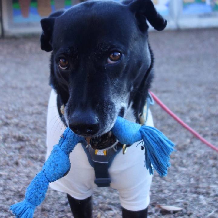 73931e37 5c25 4147 9ac8 1c6d972a74e2 1705452665776