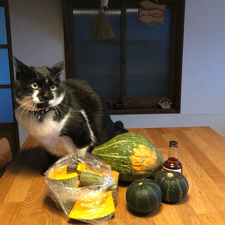 73935330 83a9 4475 a381 57a4cfb94658 1545475128096